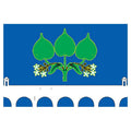 Rostokino Mos Flag N3105 A4 Photo Print