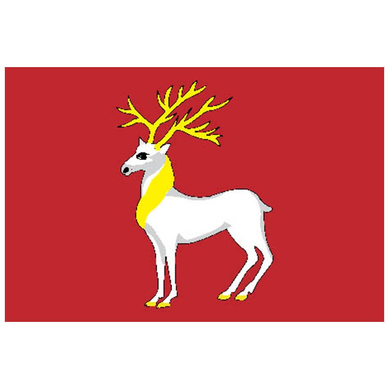 Rostov City Flag N3805 A4 Photo Print