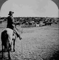 Roundup on the Sherman Ranch Genesee Kans Military A4 Photo Print