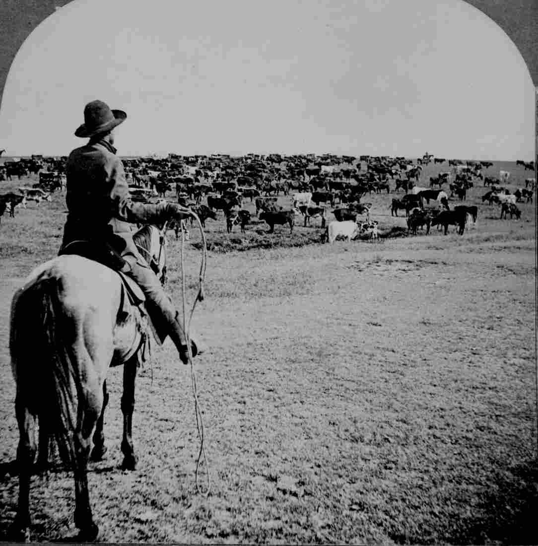 Roundup on the Sherman Ranch Genesee Kans Military A4 Photo Print