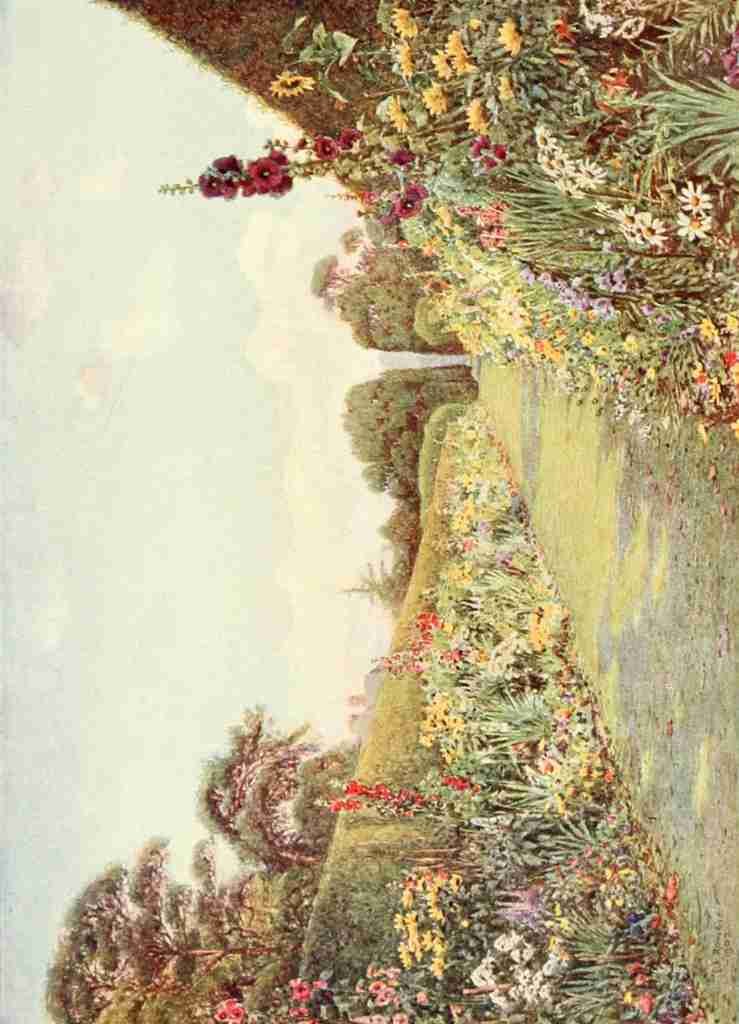 Rowe Ernest A 1863 1922 The Studio 1903 The Long Border Holme Lacy A4 Photo Print