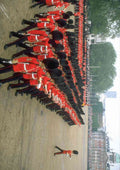Royal Family UK GB England 165003 Welsh Guards A4 Photo Print