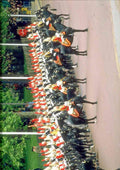 Royal Family UK GB England 165024 Household Cavalry A4 Photo Print