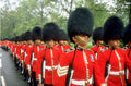 Royal Family UK GB England 165058 Welsh Guardsmen A4 Photo Print 2