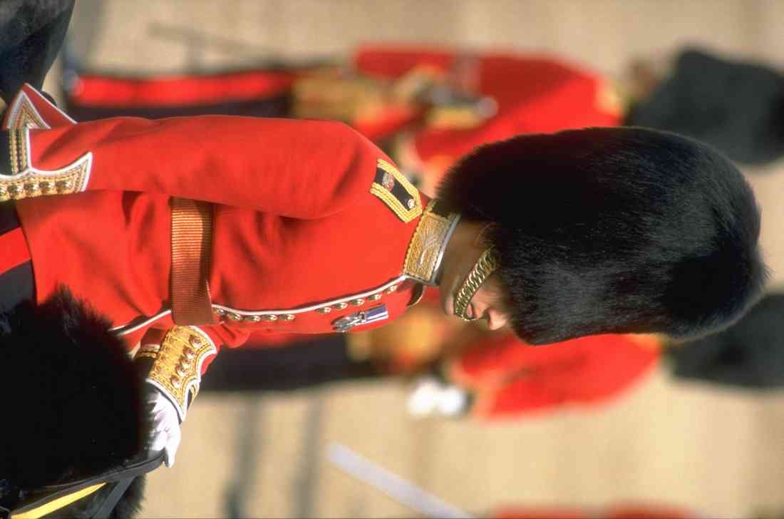 Royal Family UK GB England 165062 Officer Irish Guards A4 Photo Print