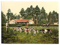 Royal Staff College drag hounds Camberley Vintage A4 Photo Print