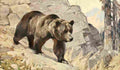 Rungius Carl 1911 Grizzly Bear A4 Photo Print