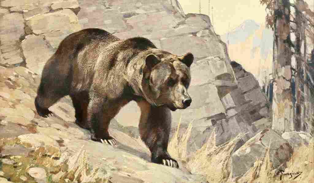 Rungius Carl 1911 Grizzly Bear A4 Photo Print