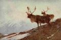 Rungius Carl 1917 Caribou A4 Photo Print