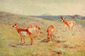Rungius Carl 1917 Pronghorns A4 Photo Print
