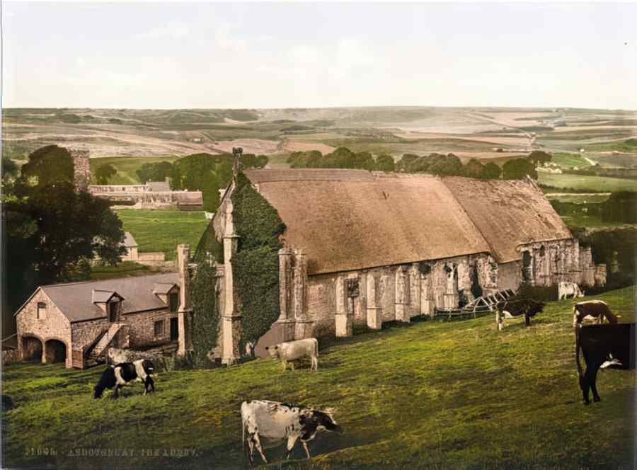 Rural Dorset Abbotsbury The Abbey A4 Photo Print