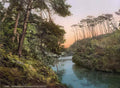 Rural Dorset Bournemouth Branksome Chine A4 Photo Print