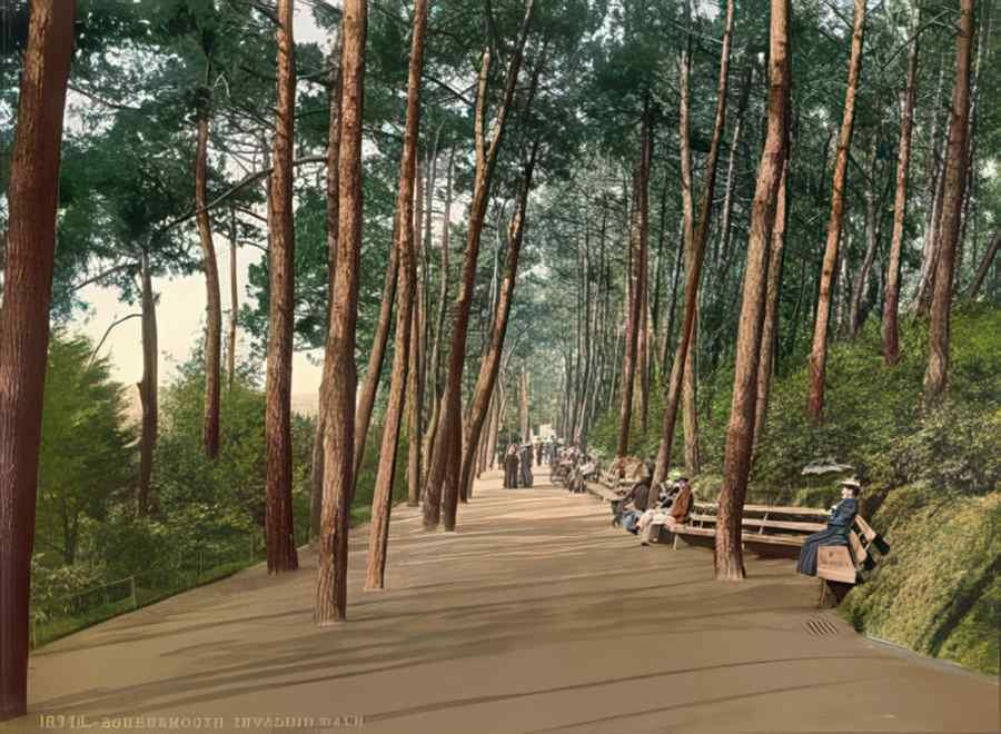 Rural Dorset Bournemouth Invalids Walk A4 Photo Print