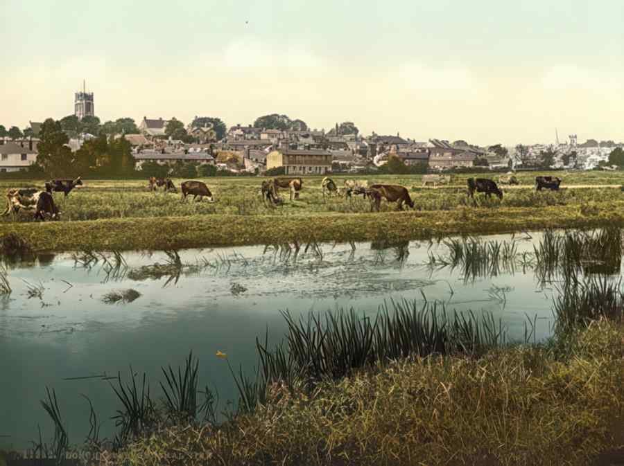 Rural Dorset Dorchester View A4 Photo Print