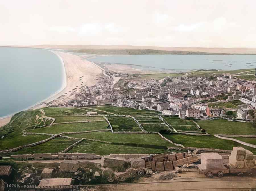 Rural Dorset Dorset Chesil Beech A4 Photo Print