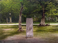 Rural Dorset New Forest Rufus Stone A4 Photo Print