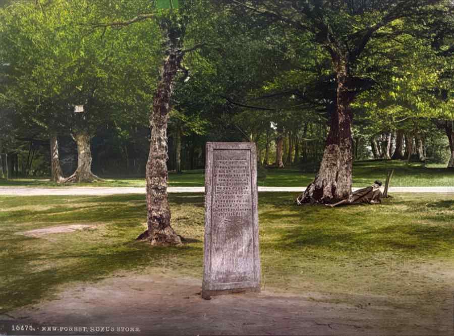 Rural Dorset New Forest Rufus Stone A4 Photo Print