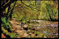 Rural England UK 374003 River Barle, Exmoor A4 Limited Edition Watercolour Print