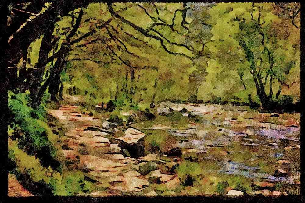 Rural England UK 374003 River Barle, Exmoor A4 Limited Edition Watercolour Print