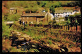 Rural England UK 374010 Barbrook, Exmoor A4 Limited Edition Watercolour Print