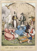 Rural Enjoyment 1829c Cartoon Joke 001 Vintage A4 Photo Print
