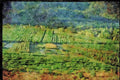 Rural Village France 174051 Field Of Fruit Trees Near Gap A4 Limited Edition Watercolour Print