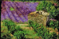 Rural Village France 174079 Provencal Mas In A Lavender Field Near Sault A4 Limited Edition Watercolour Print