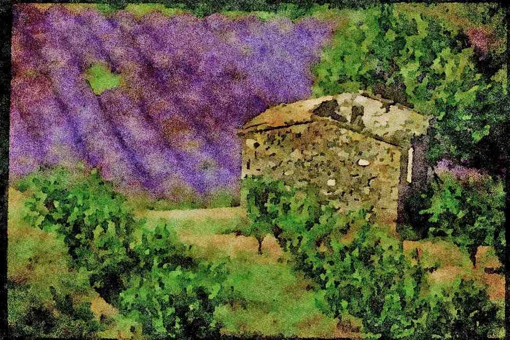 Rural Village France 174079 Provencal Mas In A Lavender Field Near Sault A4 Limited Edition Watercolour Print