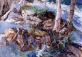 Ruskin John Study Of The Rocks And Ferns Crossmouth A4 Photo Print