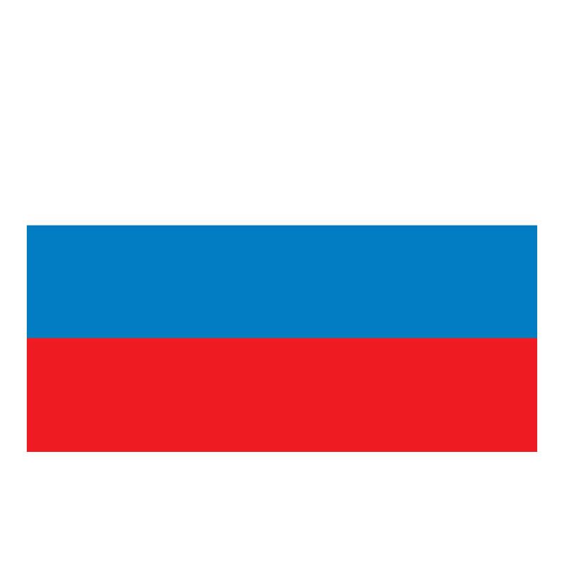 Russia Flag N455 A4 Photo Print