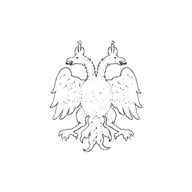 Russia1599 Eagle N85 A4 Photo Print