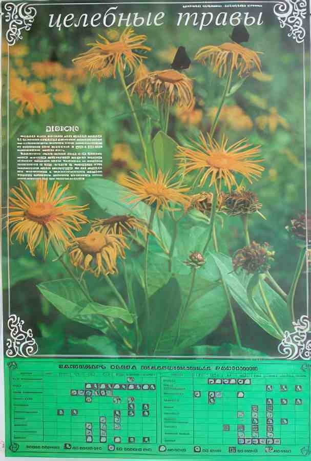 Russian 05181 Vintage Advert A4 Photo Print