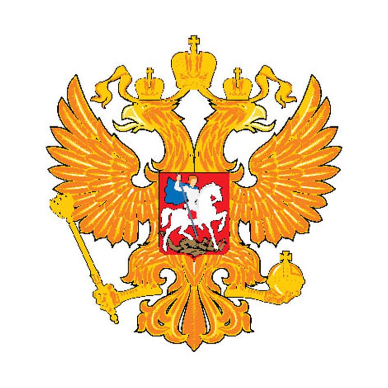 Russian Eagle N1 A4 Photo Print