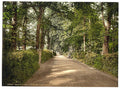 Ryde Spencer Road Isle of Wight Vintage A4 Photo Print