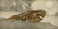 S Mathews 1921 Whip poor will A4 Photo Print