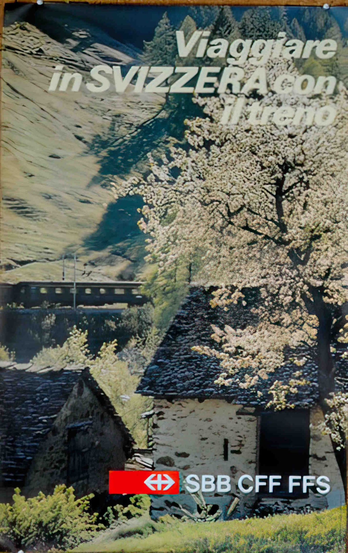 SBBCFF Advert A4 Photo Print