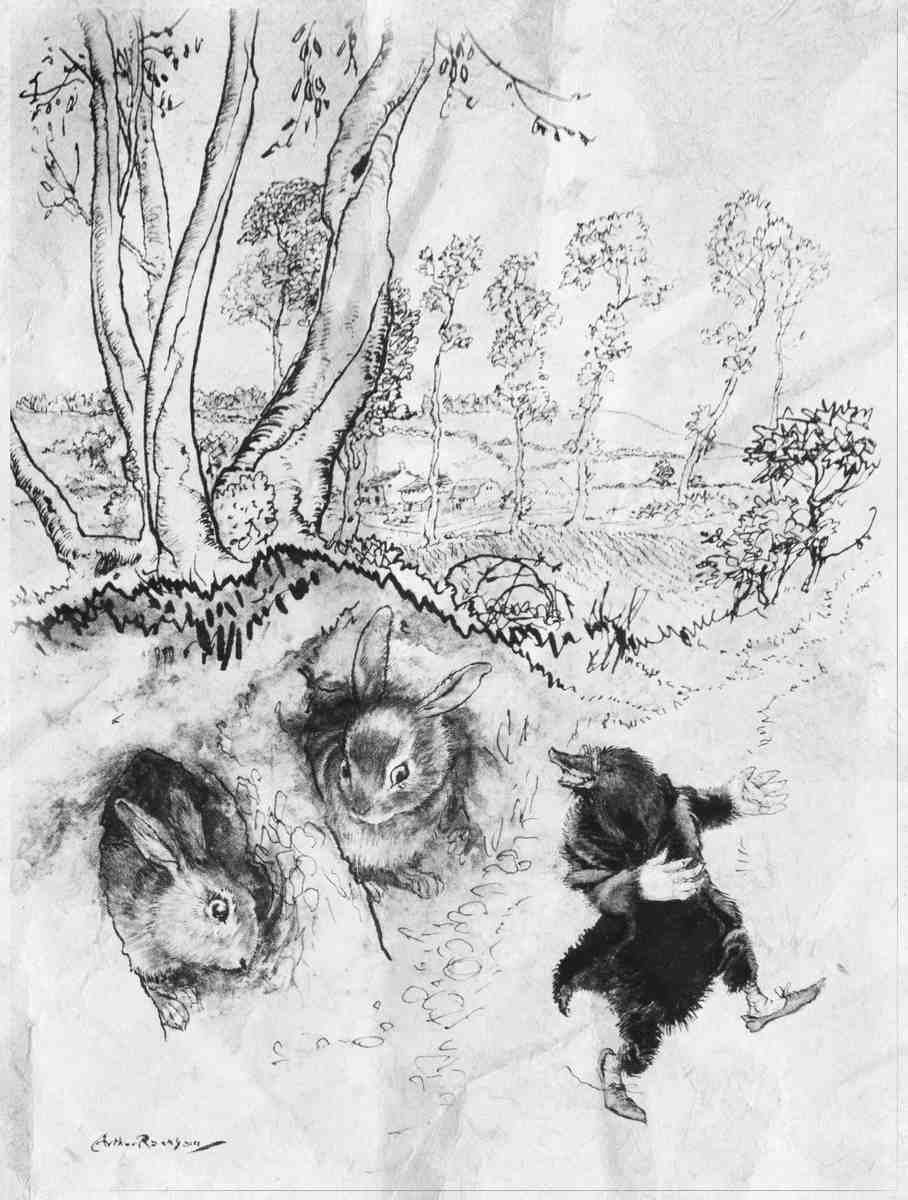 SKETCH Wind in the Willows Arthur Rackham Onion sauce! Onion sauce! He remarked jeeringly, and was gone before they could think of a reply A4 Photo Print
