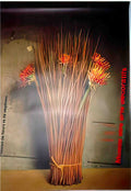 SWL02434 Advert A4 Photo Print