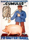 SWL08094 Advert A4 Photo Print