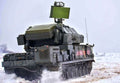 Sa15 Gauntlet 9k330 Tor Sam Vehicle Russia 2 A4 Photo Print