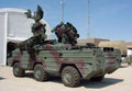 Sa8 Gecko 10 A4 Photo Print