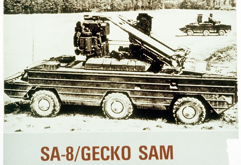 Sa8 Gecko 2 A4 Photo Print