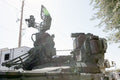 Sa8 Gecko 9 A4 Photo Print