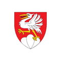 Saanen Dist Coat Of Arms N4280 A4 Photo Print