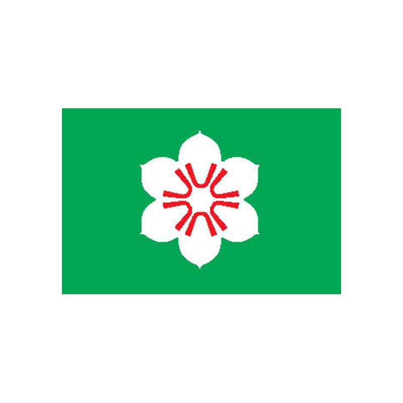Saga Pref Flag N2594 A4 Photo Print