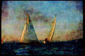 Sailboats Sail Sailing 007042 Sloops Approaching Finish A4 Limited Edition Watercolour Print