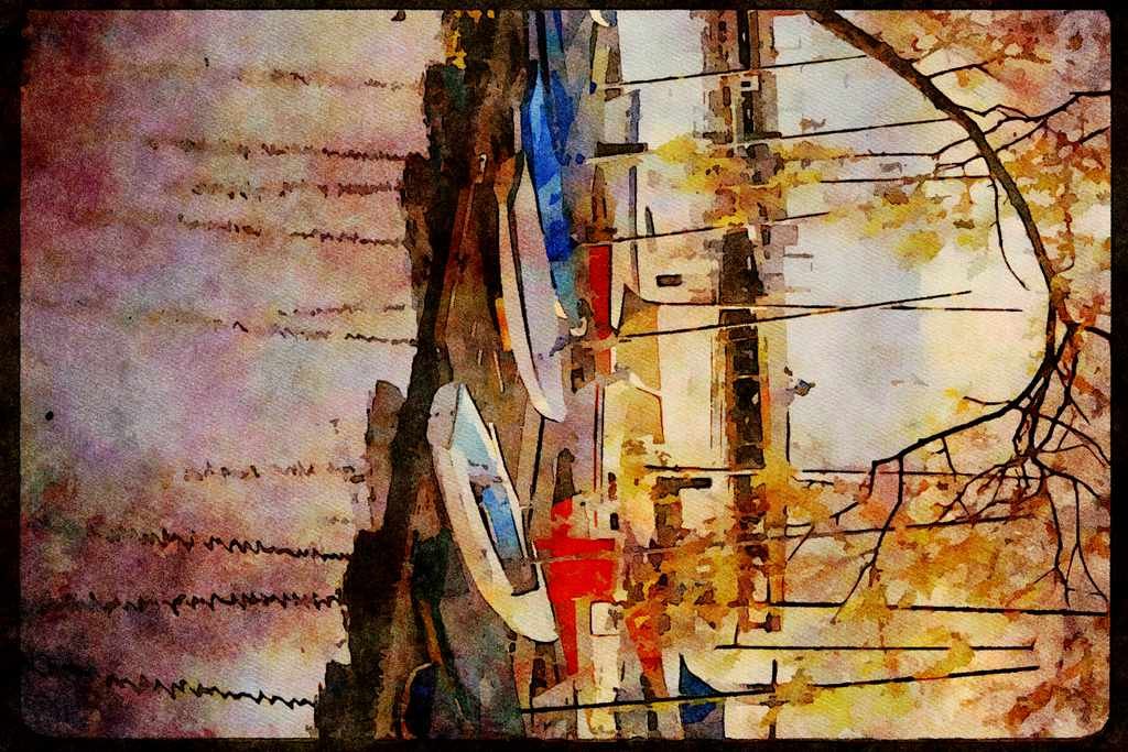 Sailboats Sail Sailing 007052 Catboats On Dock A4 Limited Edition Watercolour Print