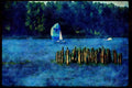 Sailboats Sail Sailing 007085 Sloop With Spinnaker By Old Pilings A4 Limited Edition Watercolour Print