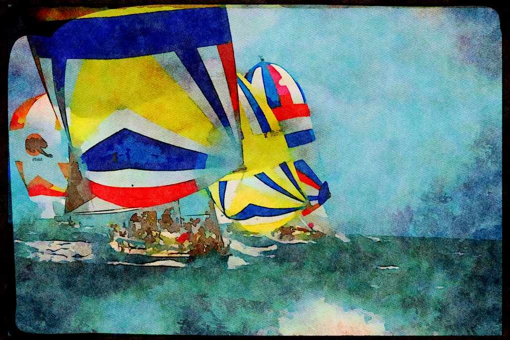Sailing Boats 172010 Swan Class At Antigua Race Week A4 Limited Edition Watercolour Print