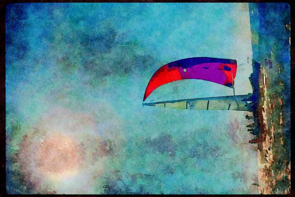 Sailing Boats 172050 Key West Race Week, Florida A4 Limited Edition Watercolour Print